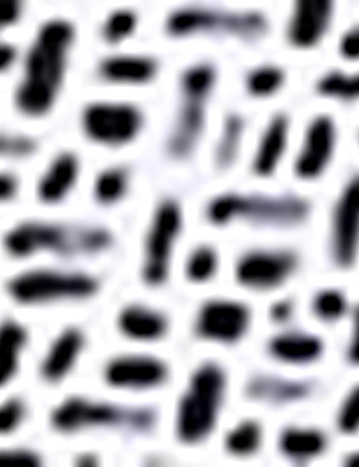 Gri Slim Fit Tişört - 50188612046