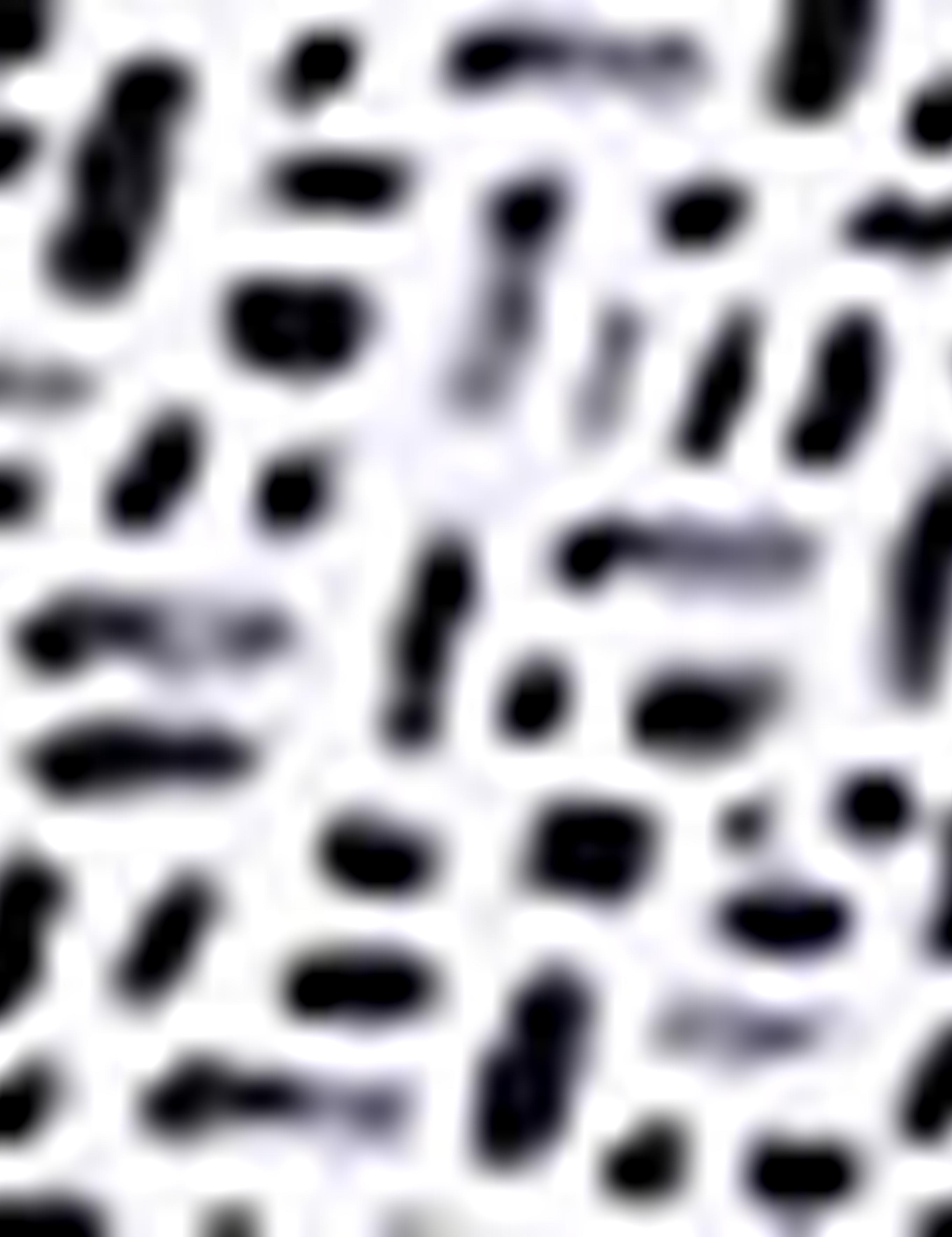 Gri Slim Fit Tişört