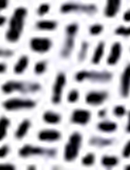 Gri Slim Fit Tişört - 50188612053