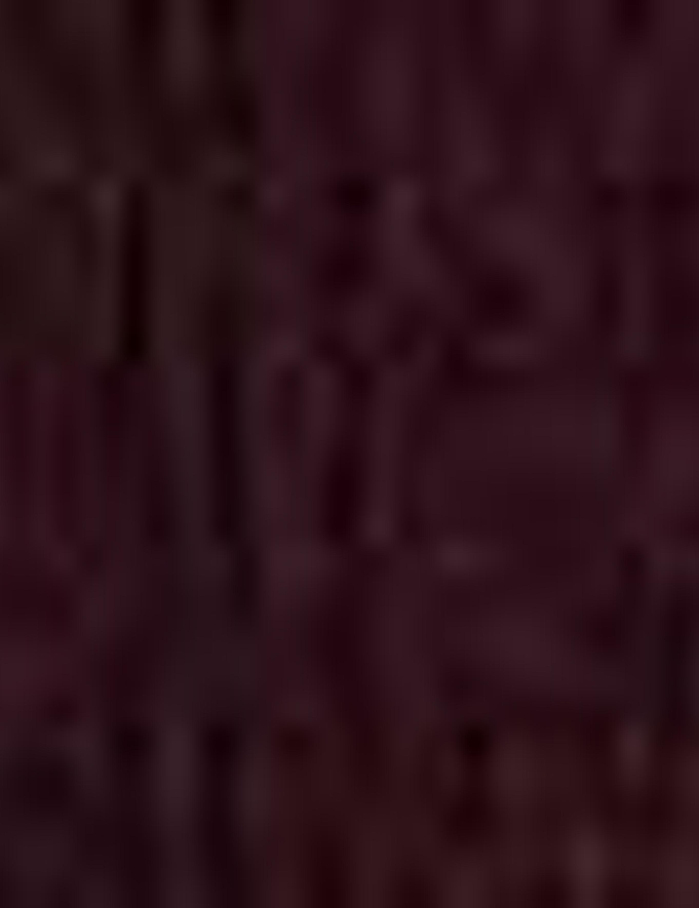 Bordo Slim Fit Kazak