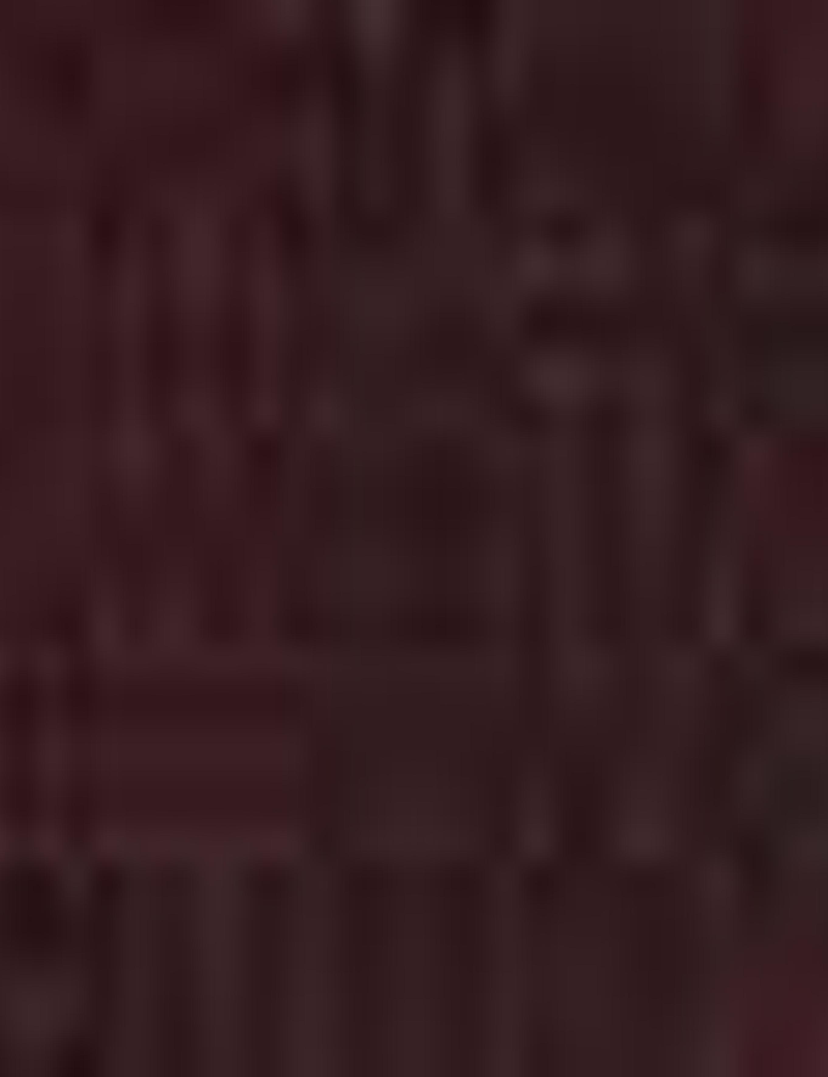 Bordo Slim Fit Basic Triko Kazak