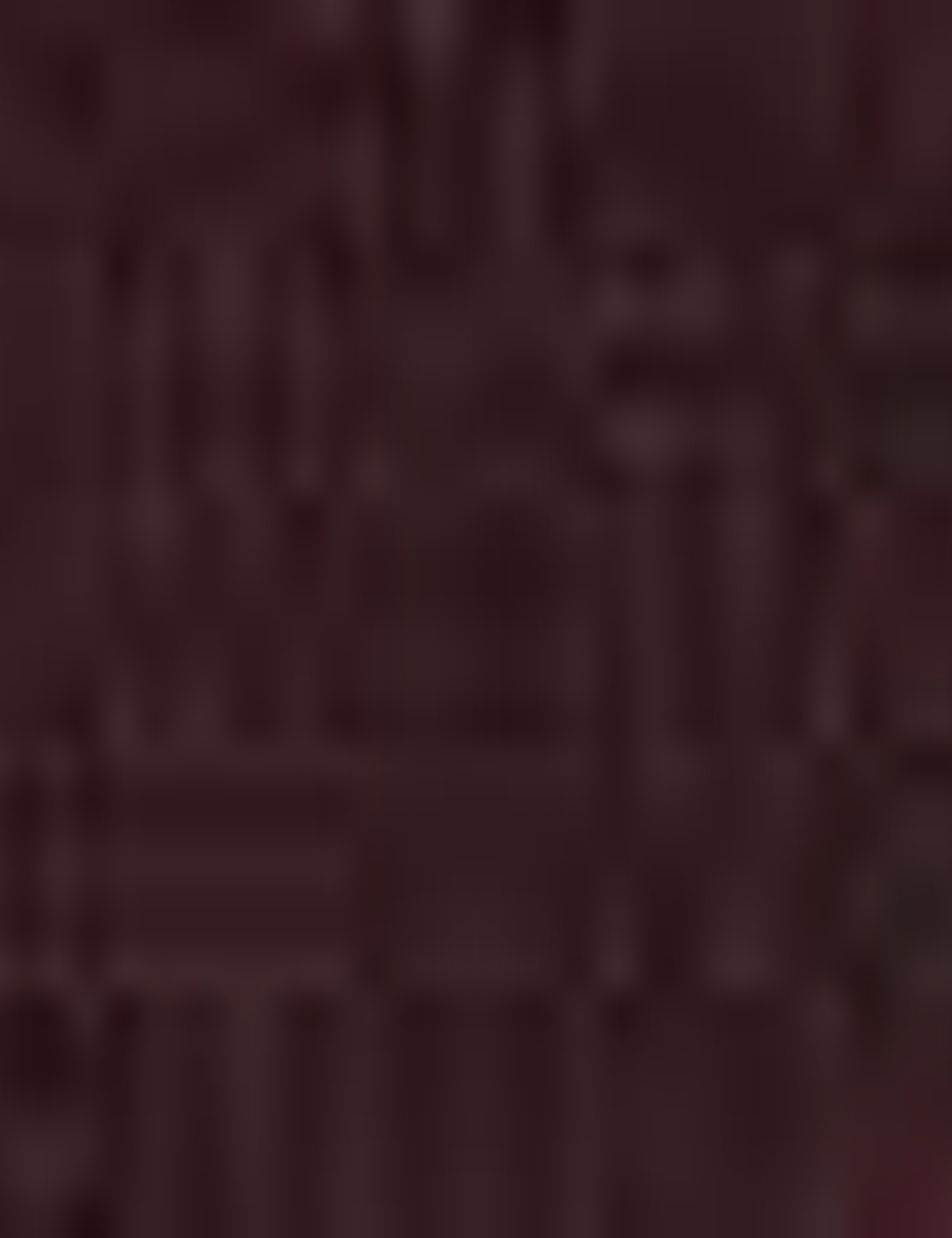 Bordo Slim Fit Basic Triko Kazak