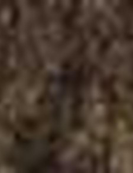 Kahverengi Regular Fit Kaşe Kaban - 50197396018