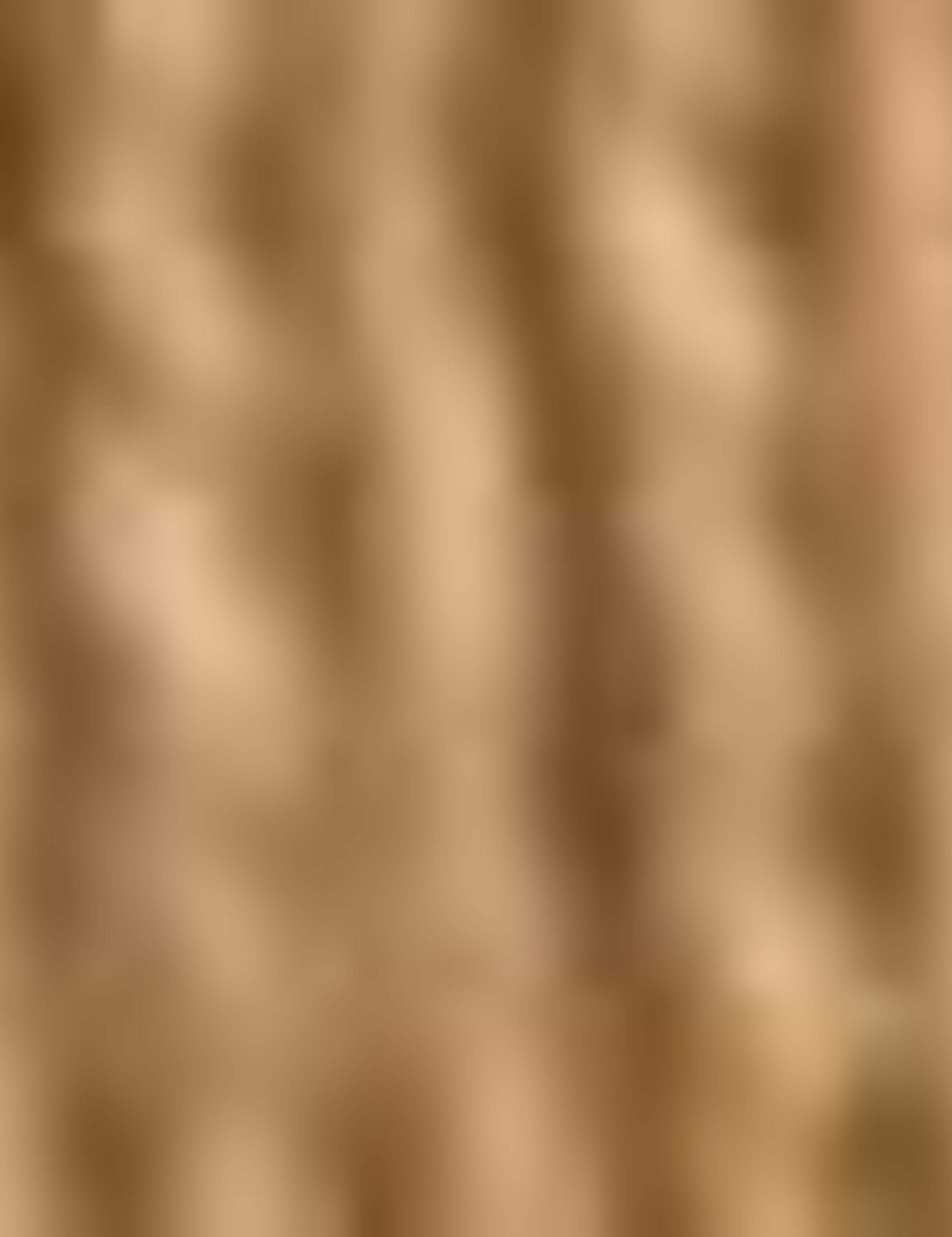 Camel Slim Fit Tişört