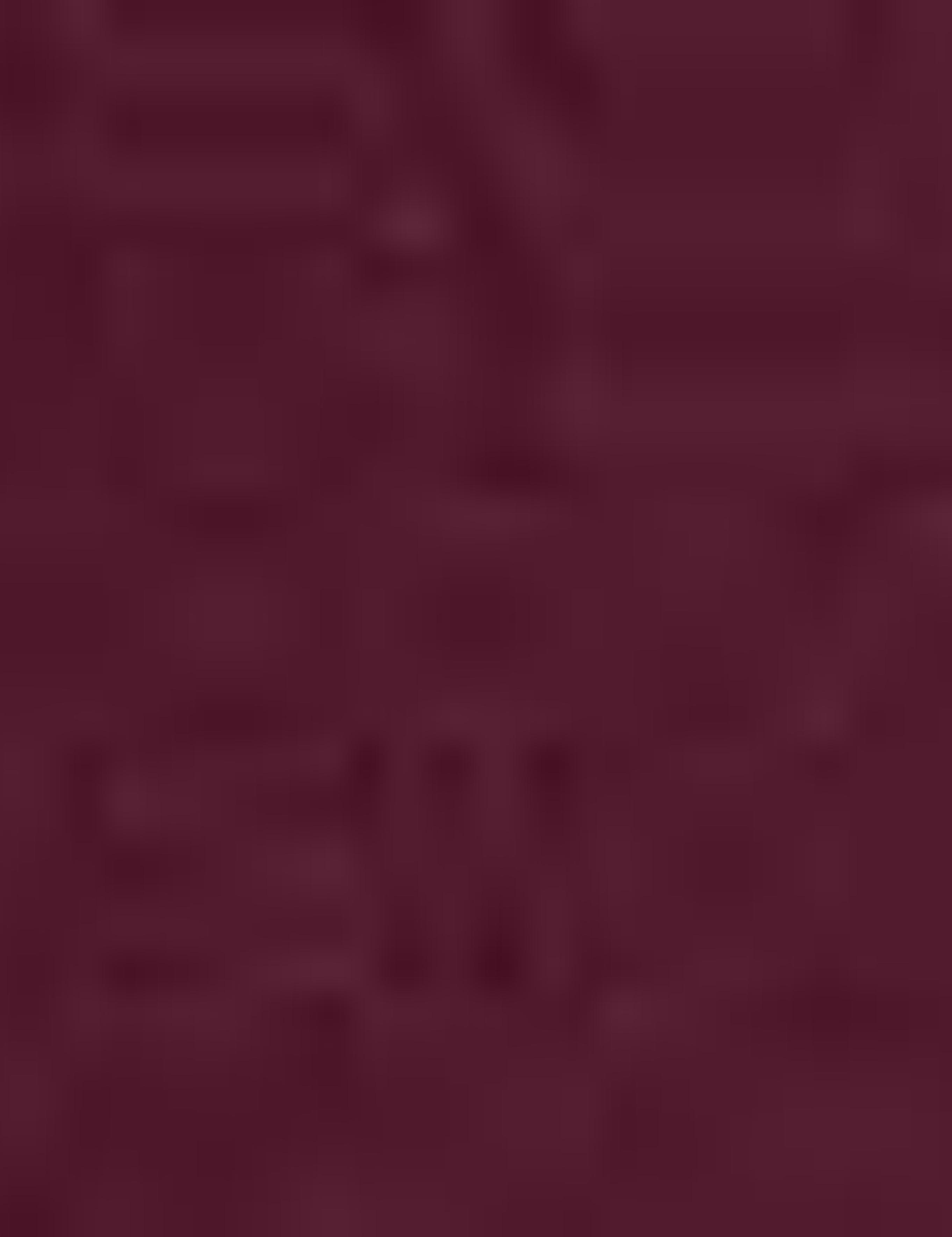 Bordo Slim Fit Tişört