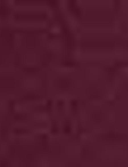 Bordo Slim Fit Tişört - 50197623010