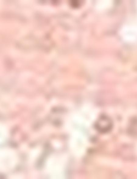 Turuncu Abiye Elbise - 50197759030