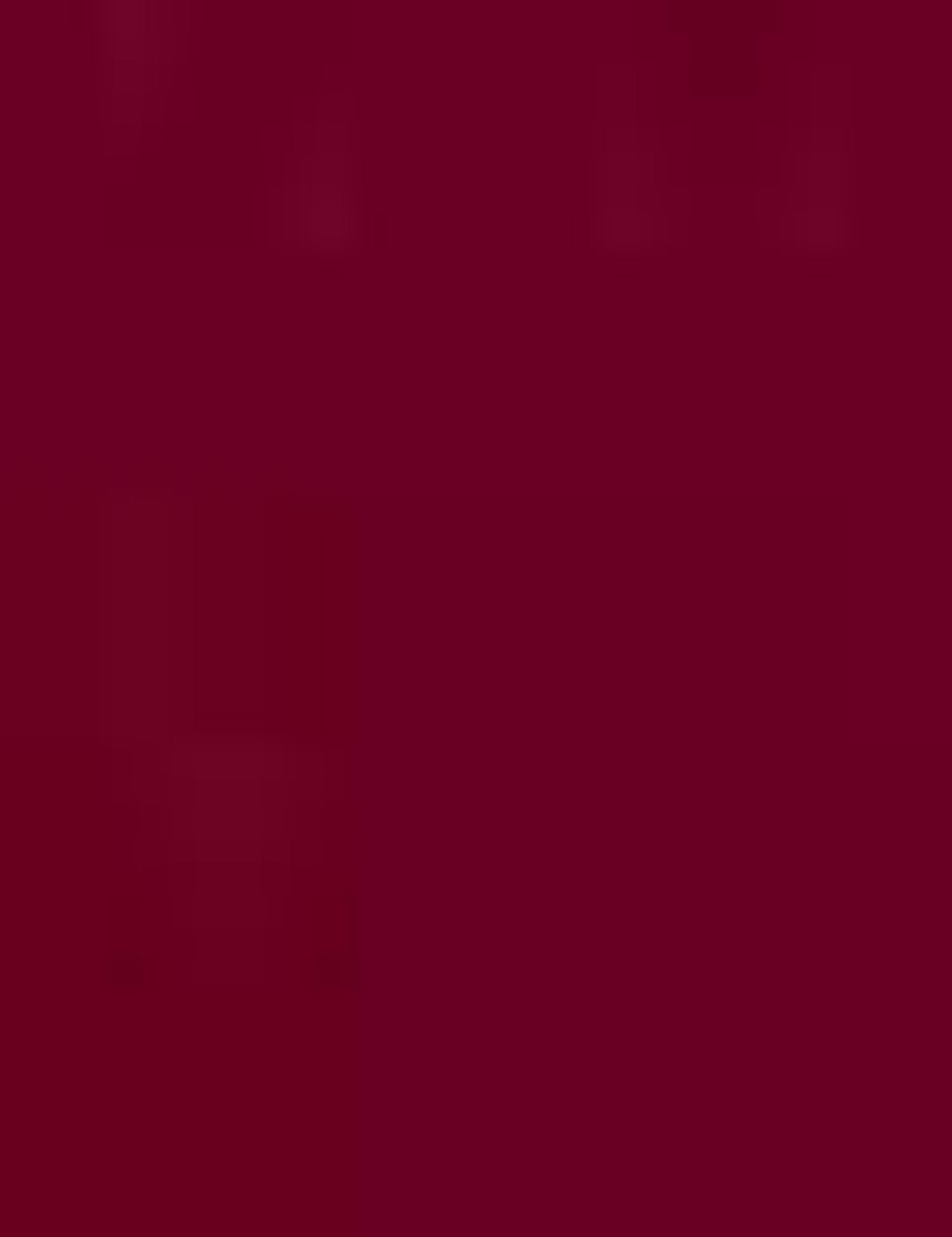 Bordo Comfort Fit Bluz