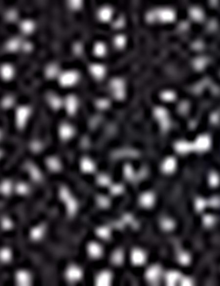 Siyah Triko Hırka - 50197796007