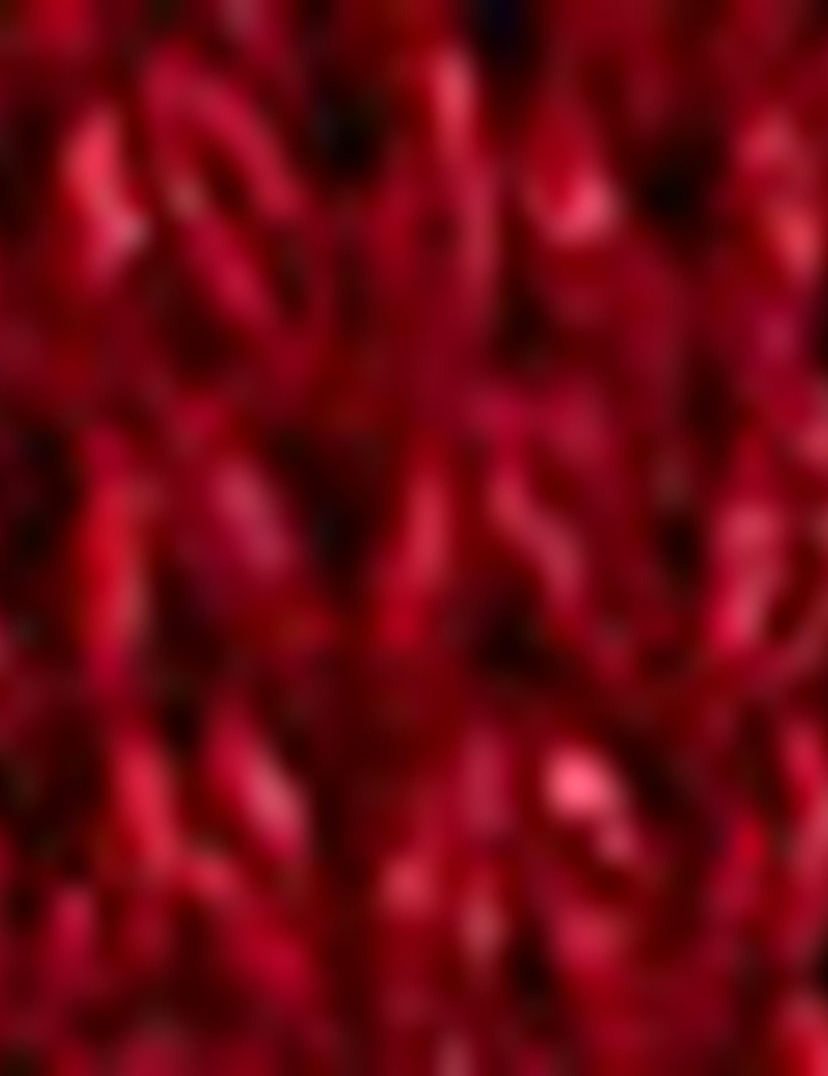 Bordo Comfort Fit Kazak