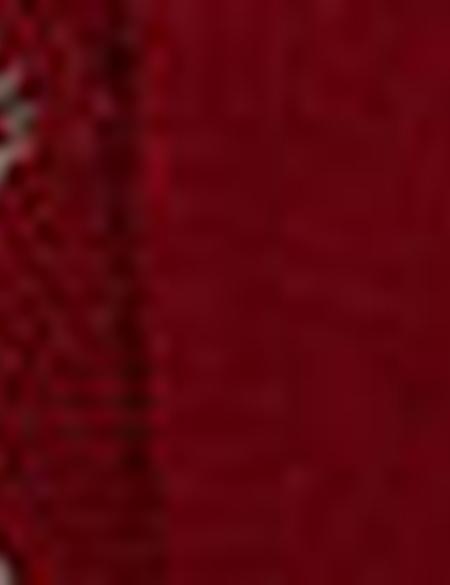 Bordo Regular Fit Kazak - 50197799021