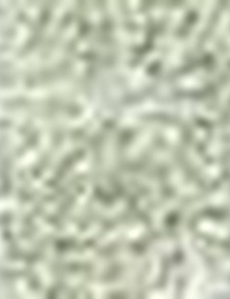 Yeşil Slim Fit Polo Yaka T-Shirt - 50200251020