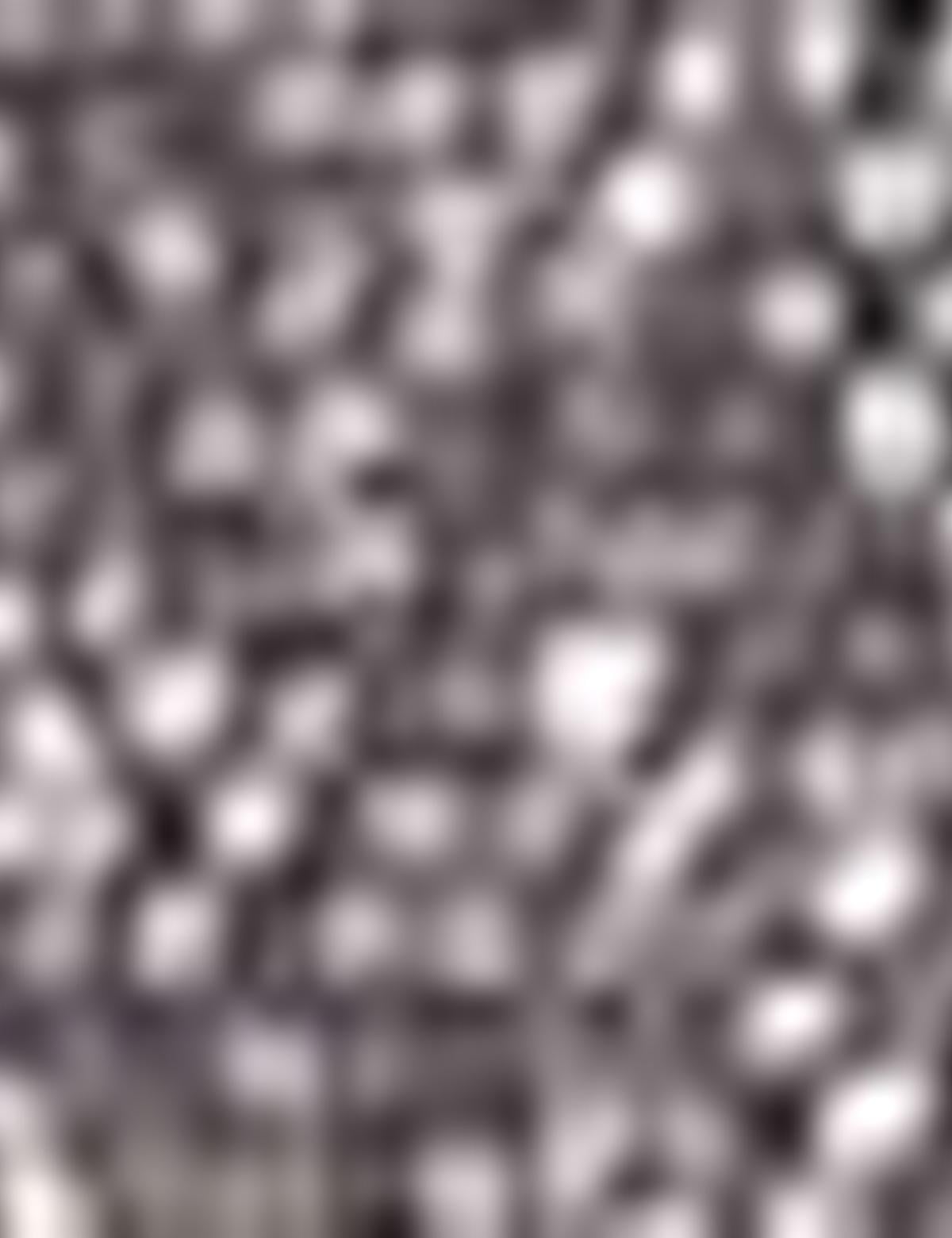 Haki Slim Fit Tişört - 50200301014