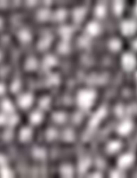 Haki Slim Fit Tişört - 50200301014