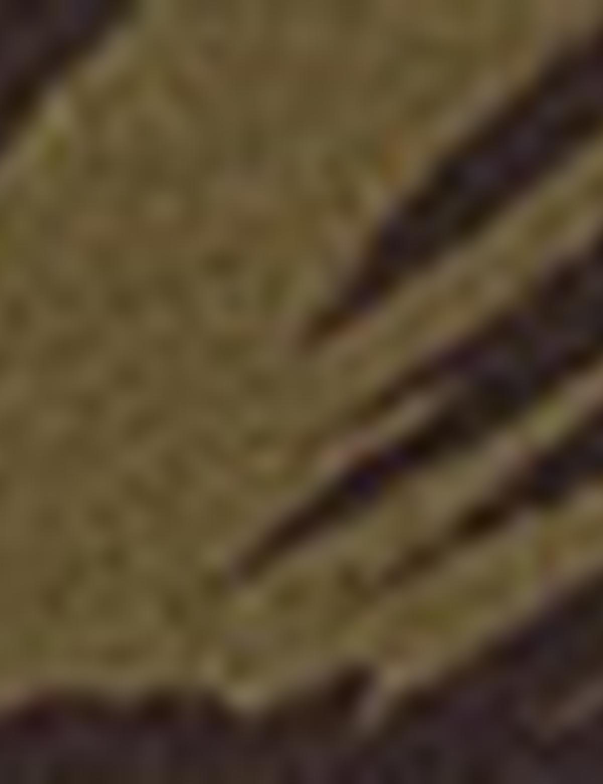 Haki Slim Fit Tişört - 50200302010