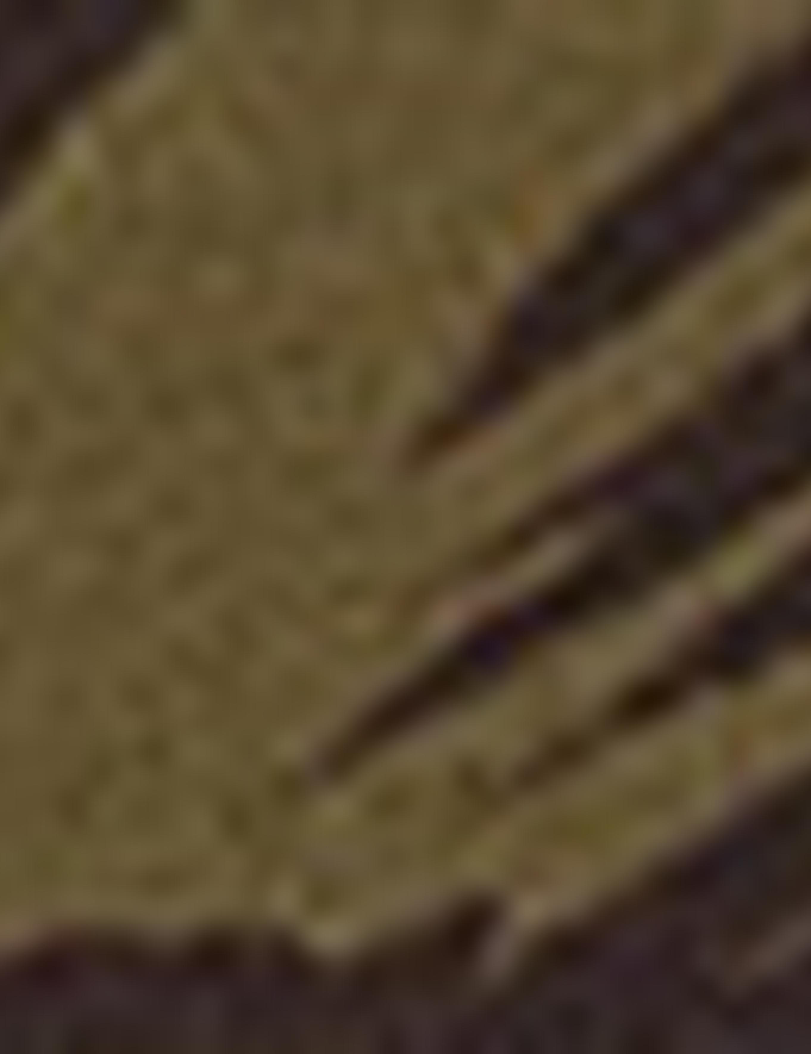 Haki Slim Fit Tişört