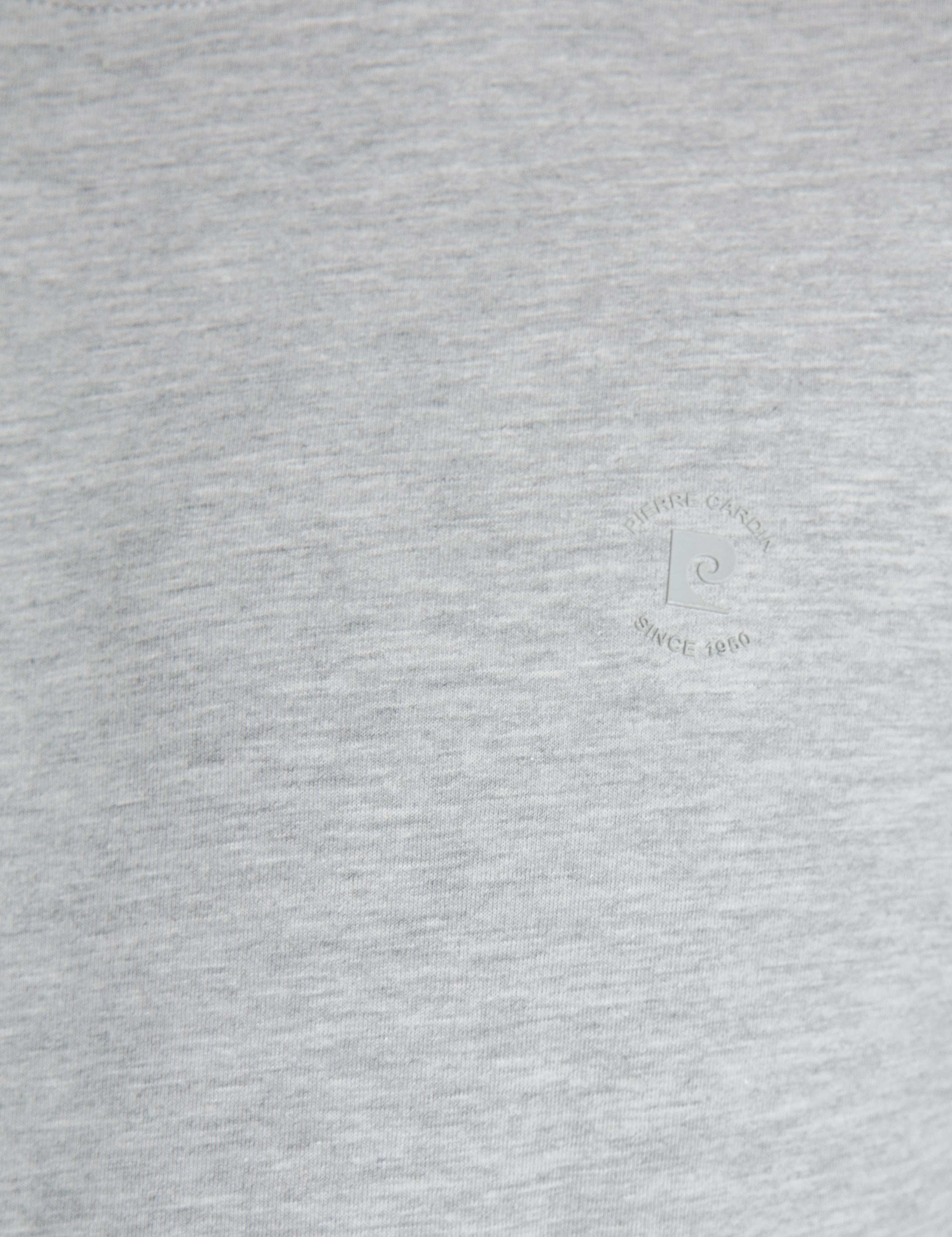 Açık Gri Slim Fit T-Shirt - Image 4