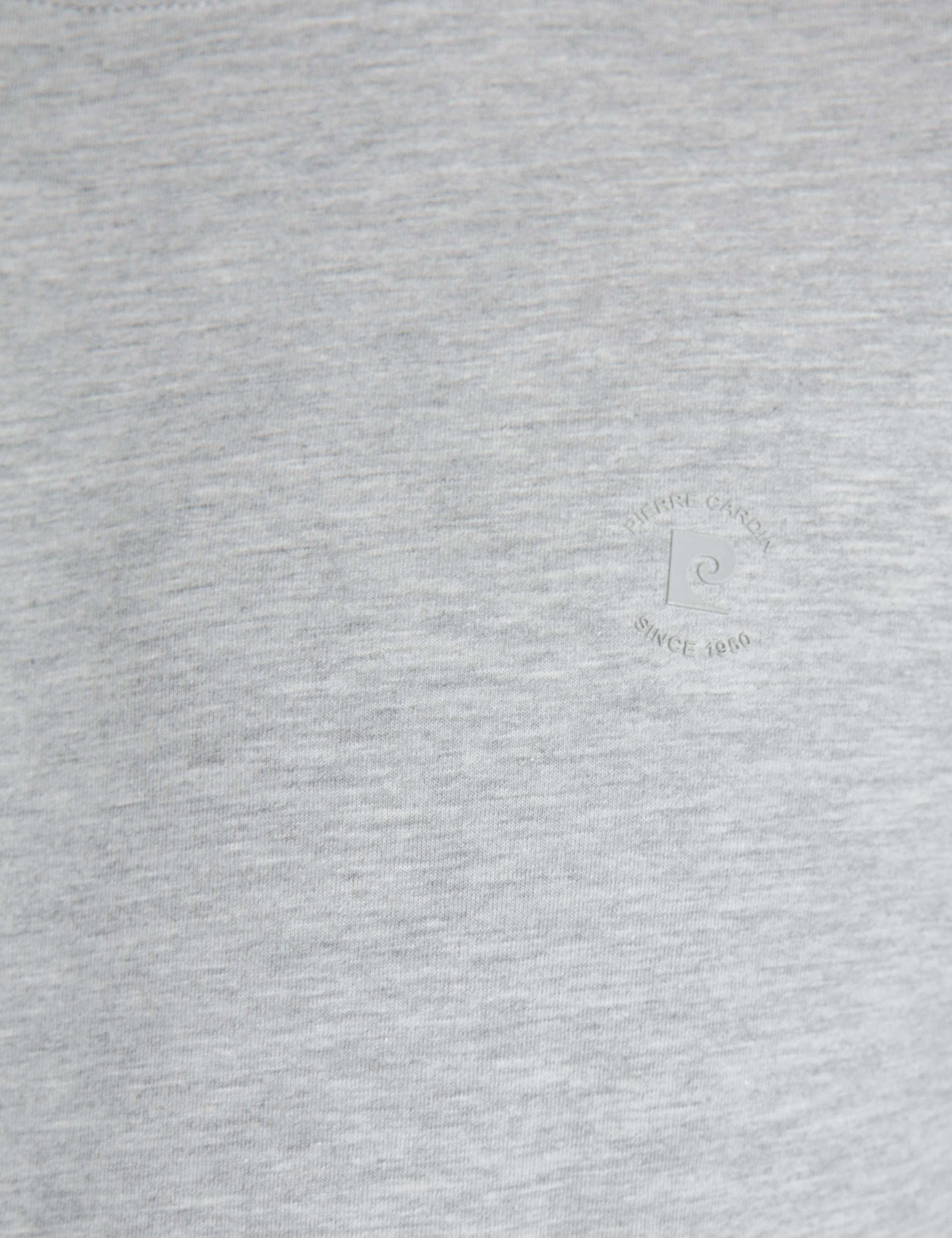 Açık Gri Slim Fit T-Shirt