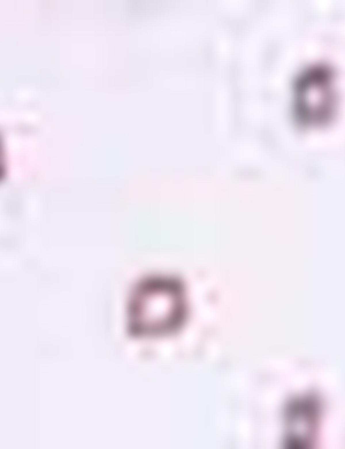 Kahverengi Detaylı Beyaz Slim Fit Gömlek - 50200622023