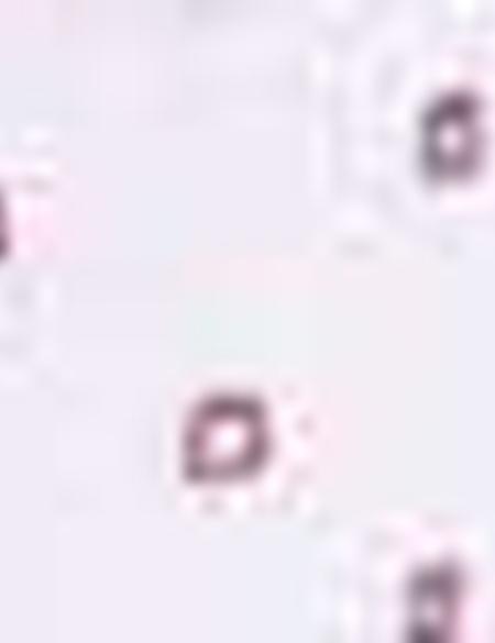 Kahverengi Detaylı Beyaz Slim Fit Gömlek - 50200622023