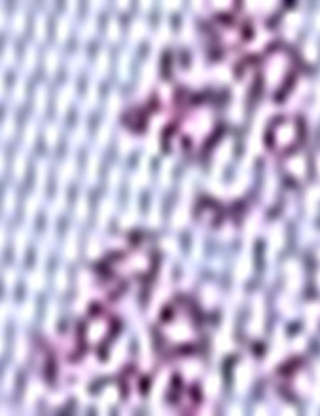 Mavi Slim Fit Uzun Kollu Gömlek - 50200626005