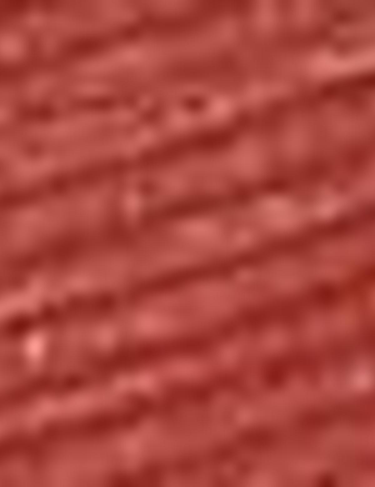 Kiremit Slim Fit Bisiklet Yaka T-Shirt - 50200628019