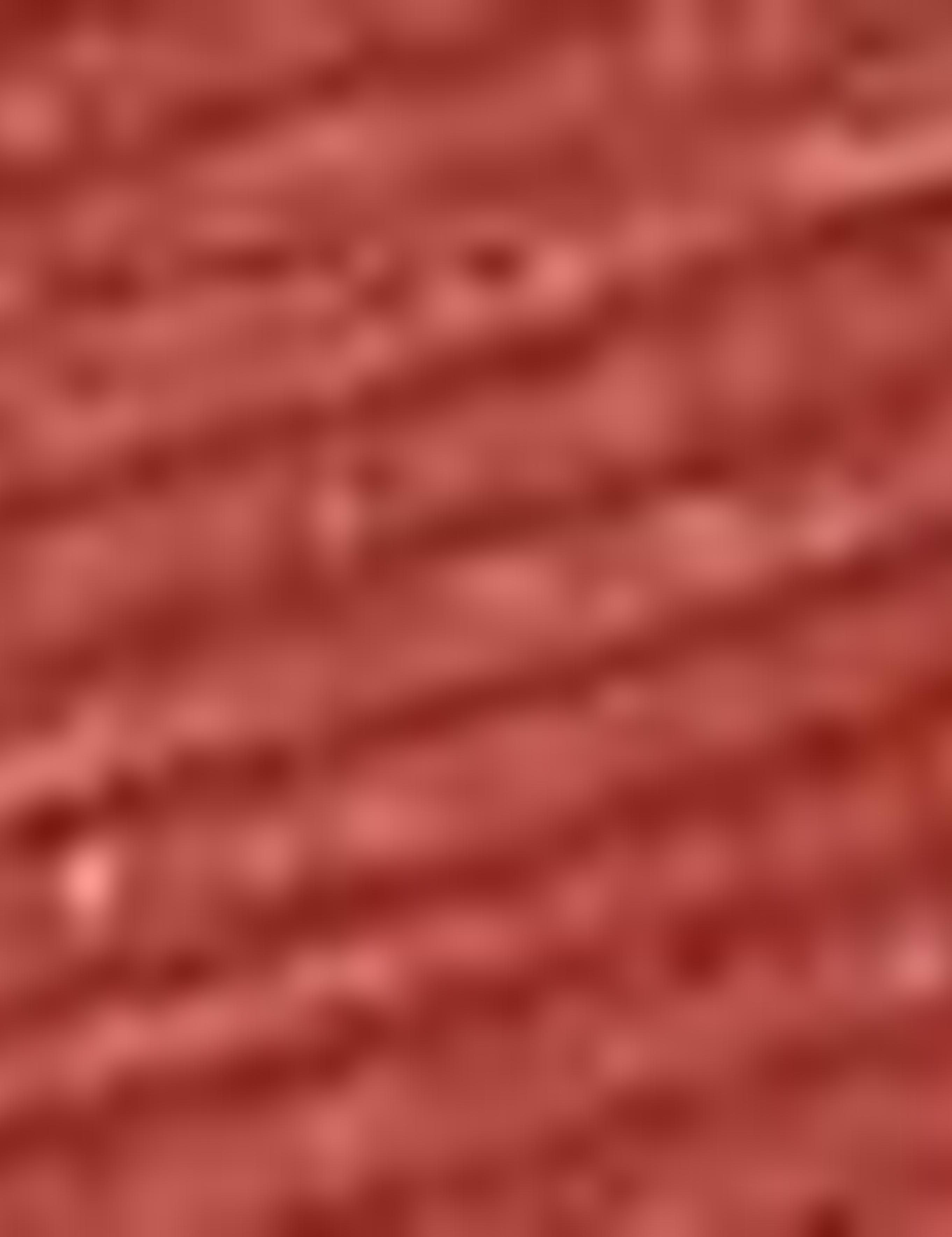 Kiremit Slim Fit Bisiklet Yaka T-Shirt