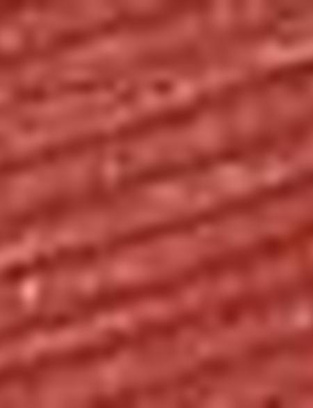 Kiremit Slim Fit Bisiklet Yaka T-Shirt - 50200628019