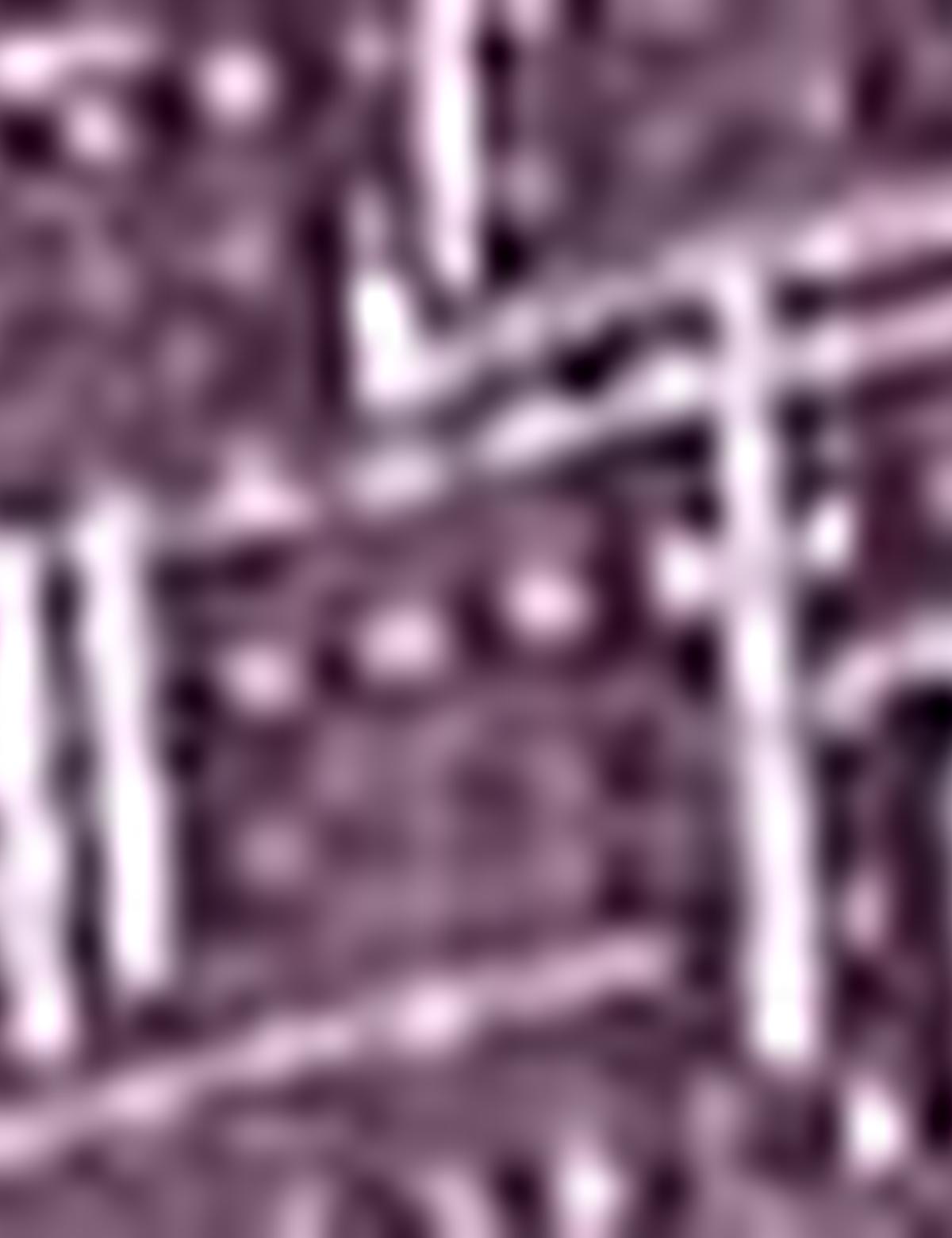 Bordo Slim Fit Polo Yaka T-Shirt - 50200632020