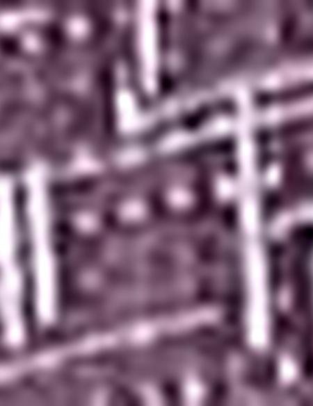 Bordo Slim Fit Polo Yaka T-Shirt - 50200632020