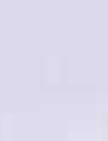 Lila Slim Fit Uzun Kollu Basic Gömlek - 50204547074