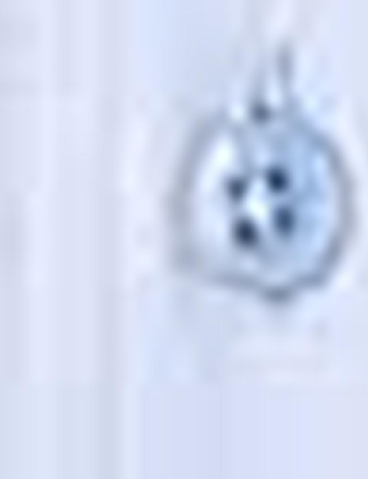 Açık Mavi Regular Fit Uzun Kollu Basic Gömlek - 50204564029