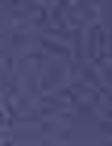 Lacivert Regular Fit Klasik Gömlek - 50204564032