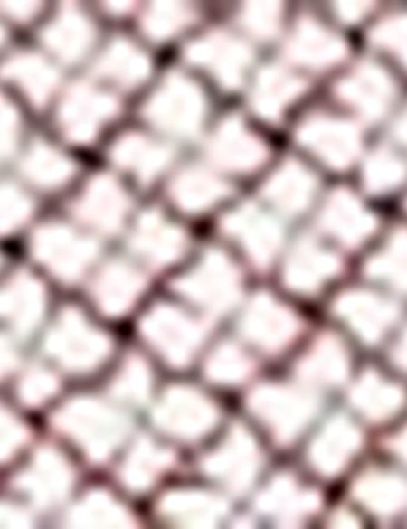 Turuncu Slim Fit Uzun Kollu Gömlek - 50204569010