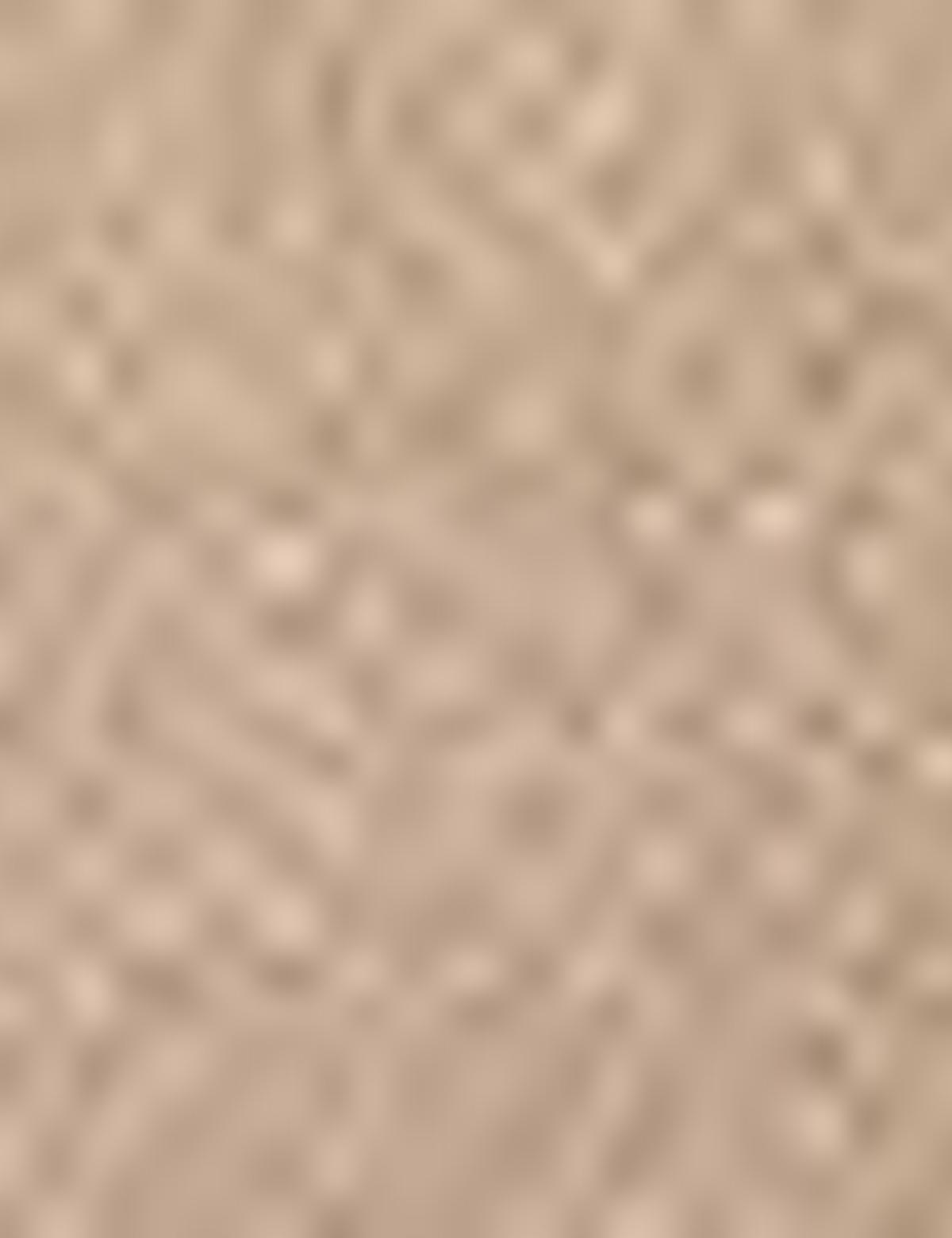 Camel Slim Fit Bermuda Şort - 50204584027