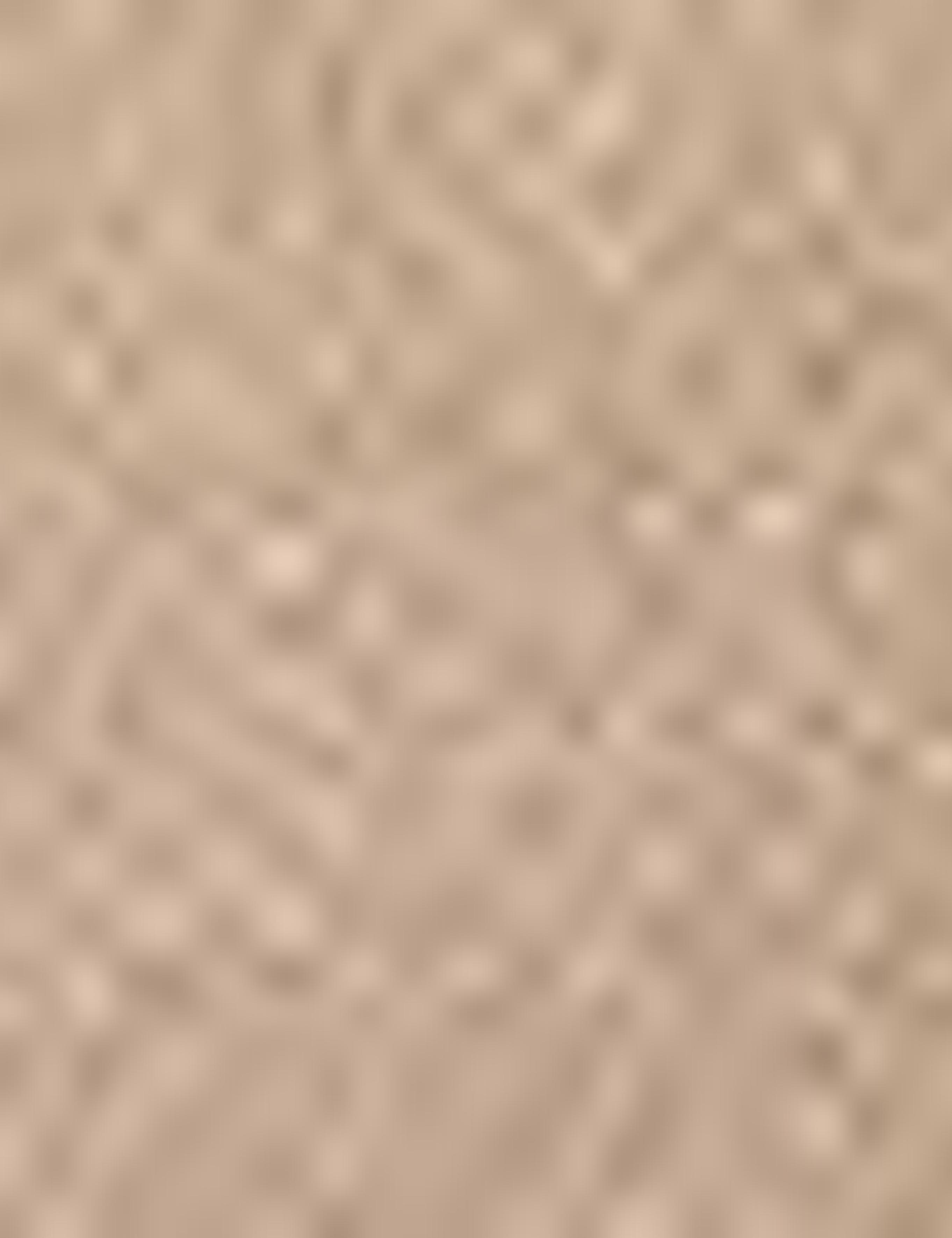 Camel Slim Fit Bermuda Şort