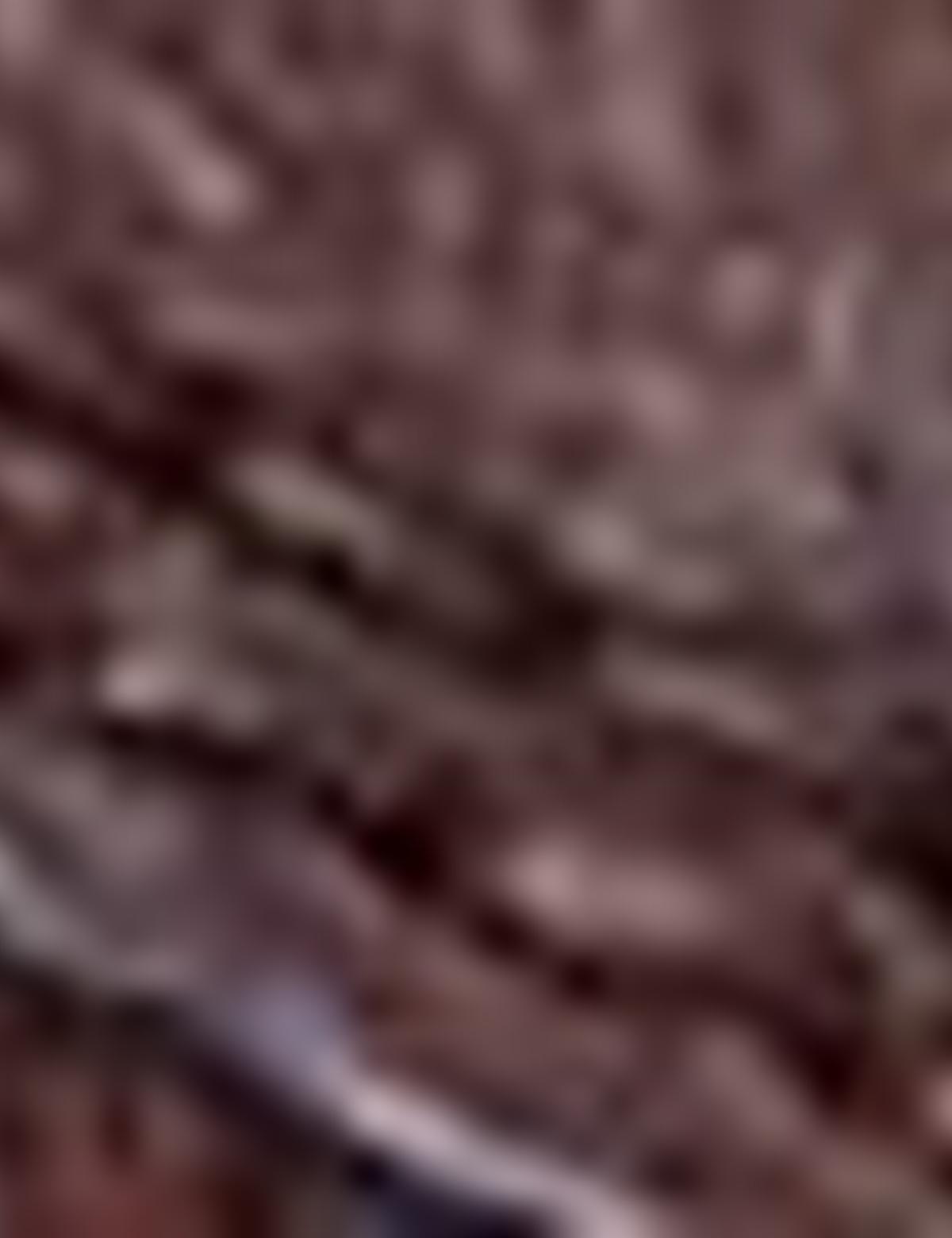 Kahverengi Ayakkabı - 50209339010