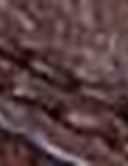 Kahverengi Ayakkabı - 50209339010