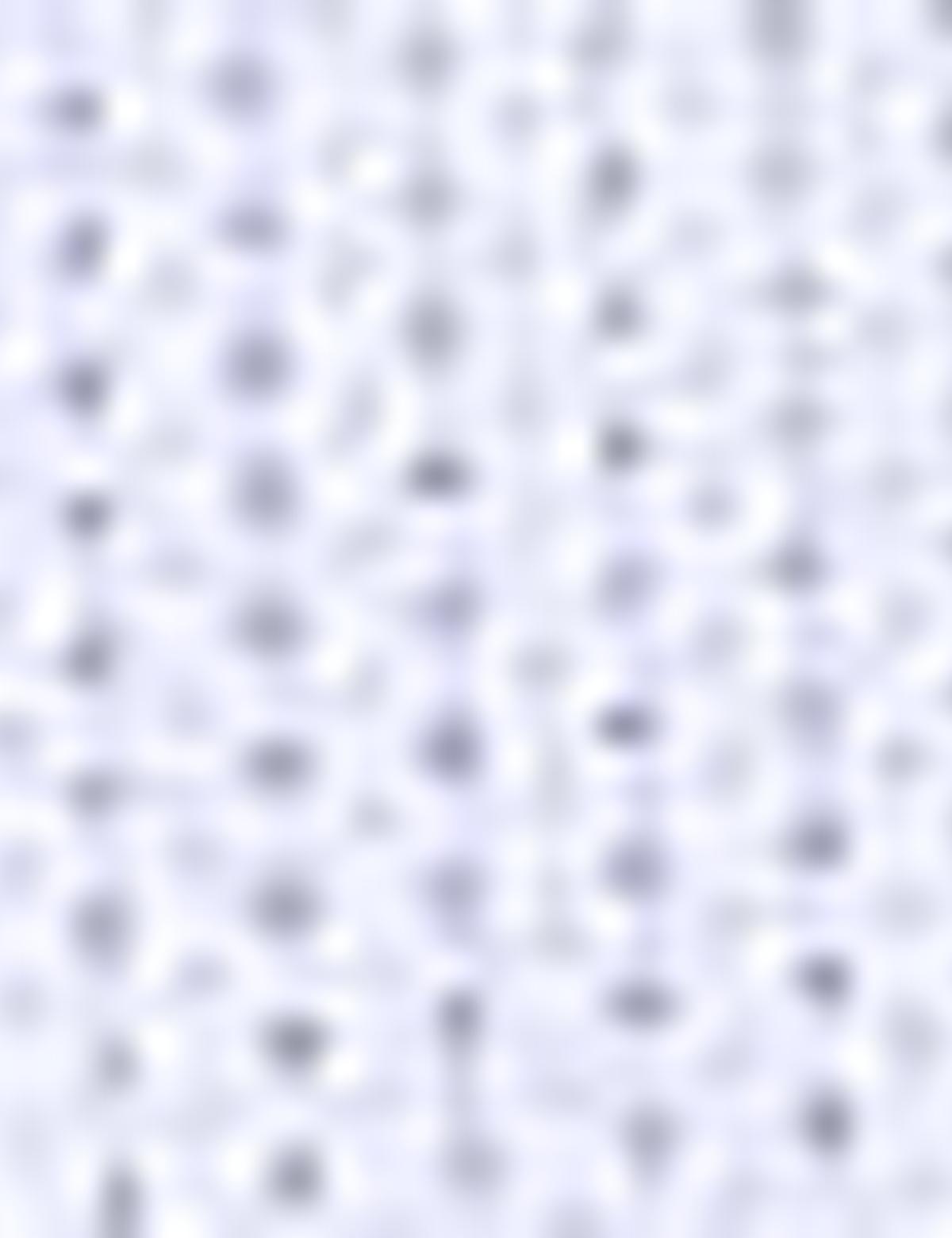 Mavi Slim Fit Gömlek - 50209434002