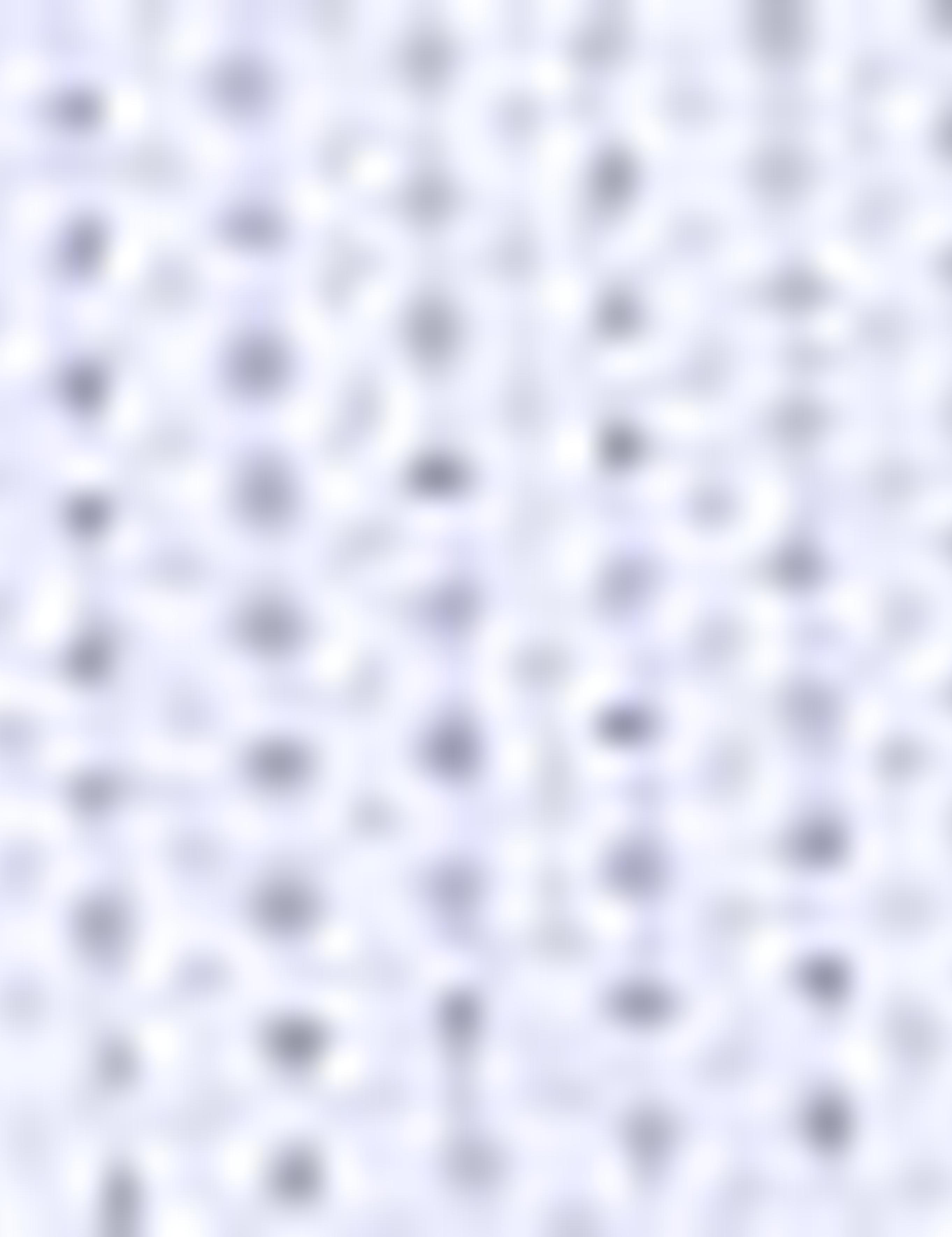 Mavi Slim Fit Gömlek