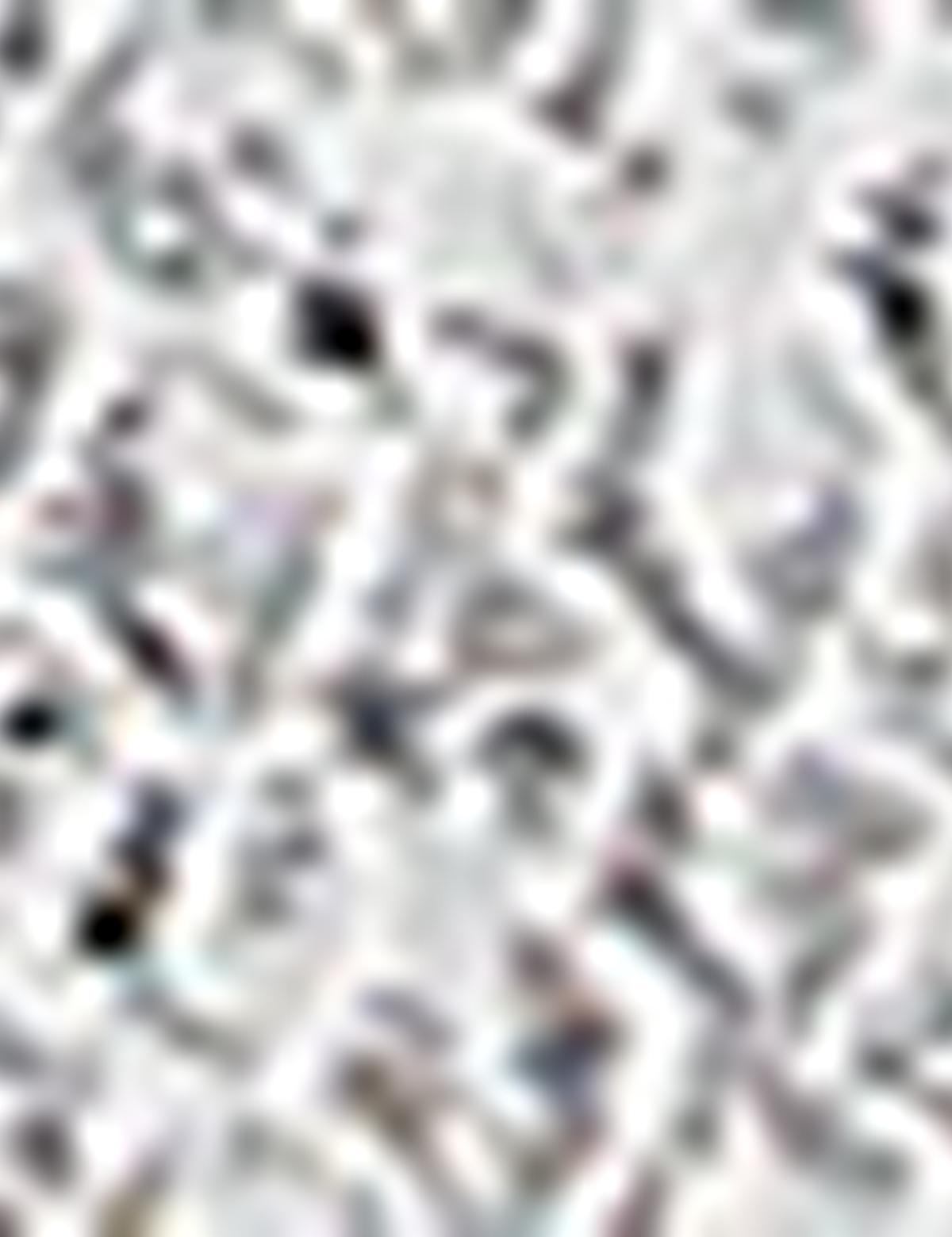 Gri Slim Fit Gömlek - 50209585015