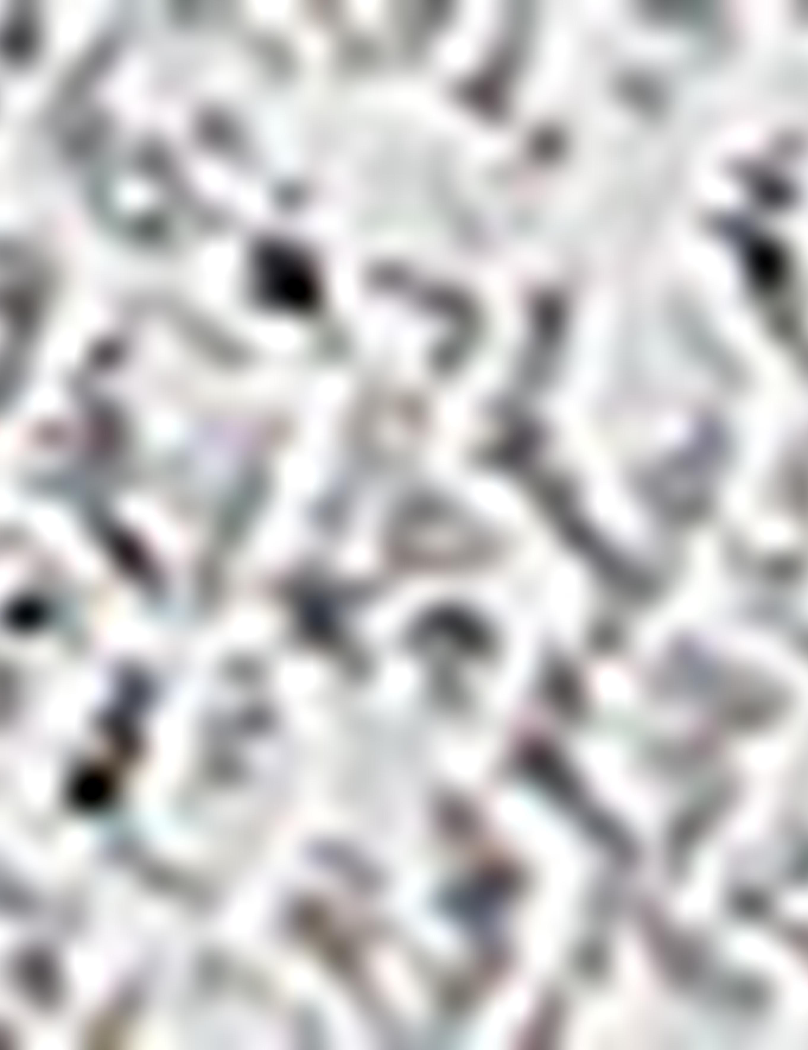 Gri Slim Fit Gömlek