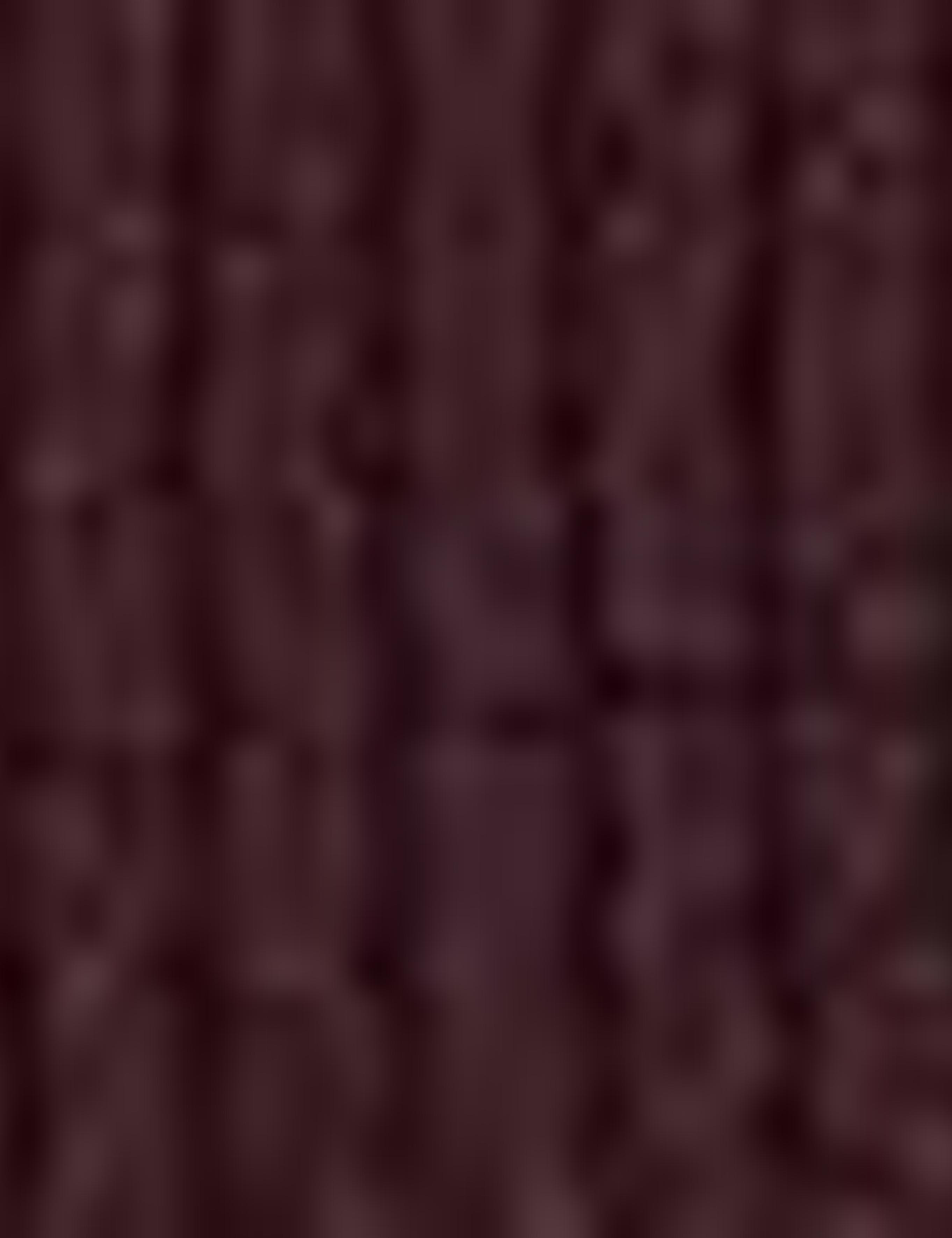 Bordo Slim Fit Triko Kazak