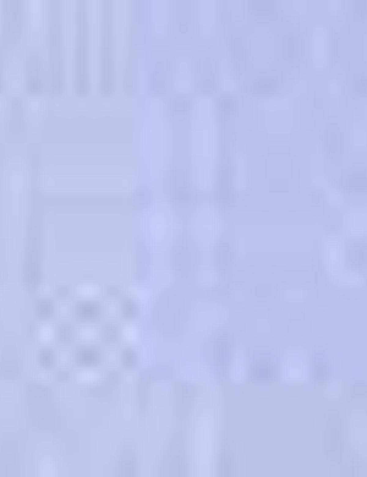 Saks Slim Fit Uzun Kollu Gömlek - 50210019038