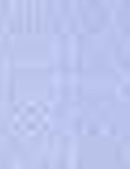 Saks Slim Fit Uzun Kollu Gömlek - 50210019038