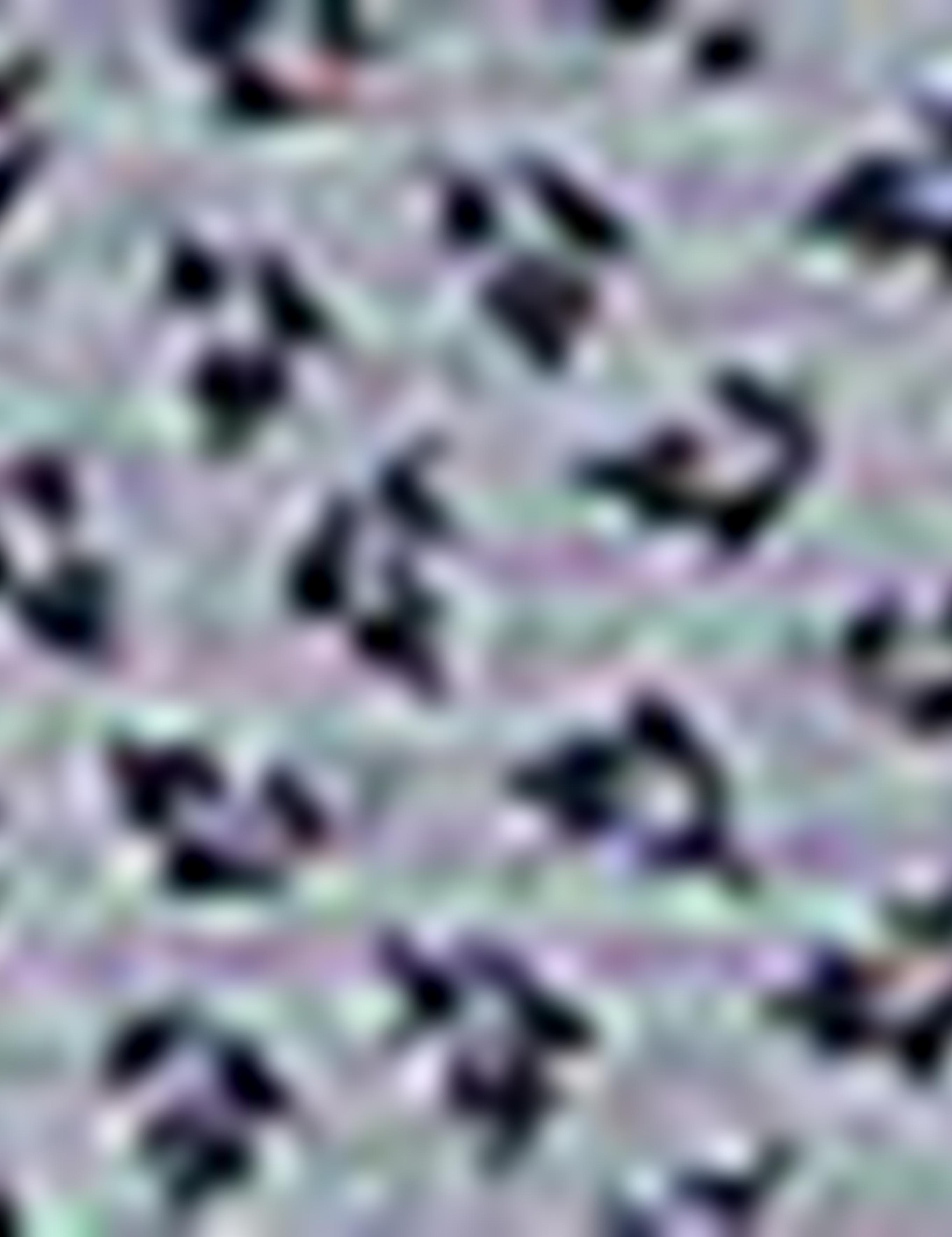 Lacivert Slim Fit Gömlek