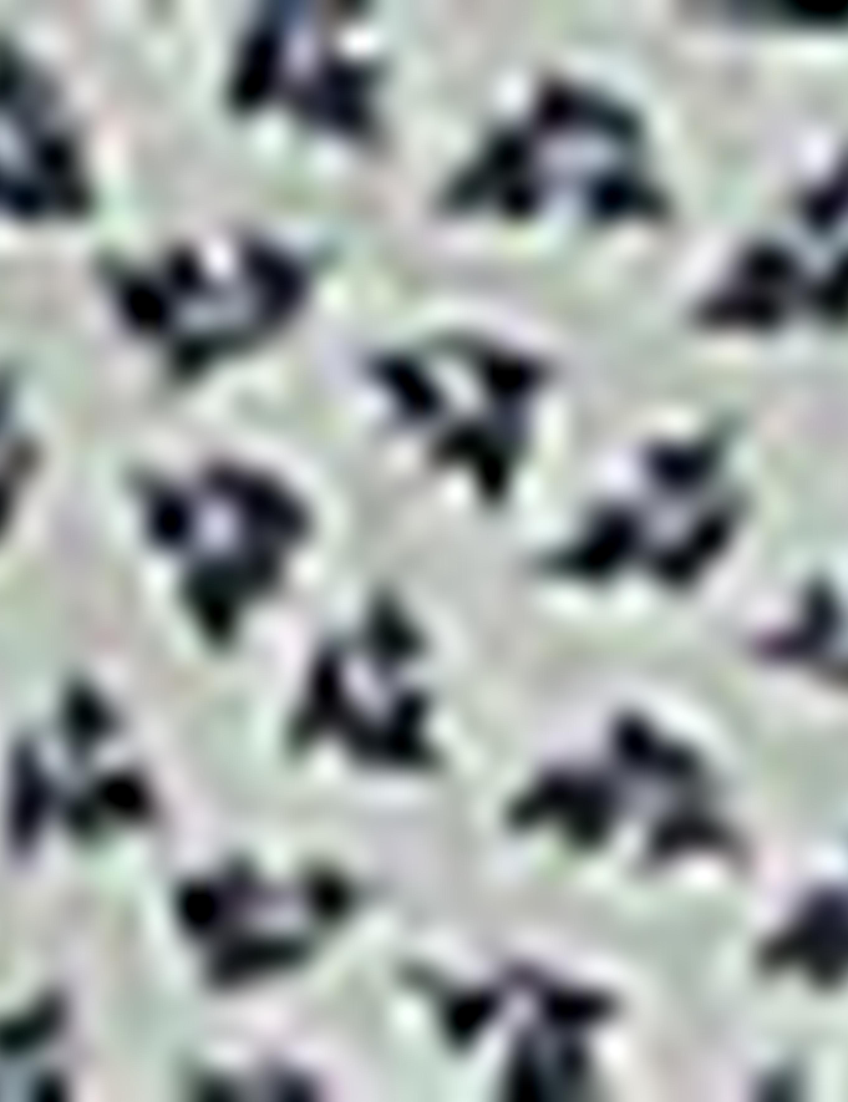 Koyu Yeşil Slim Fit Gömlek