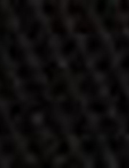 Siyah Kaşe Kaban - 50215679007