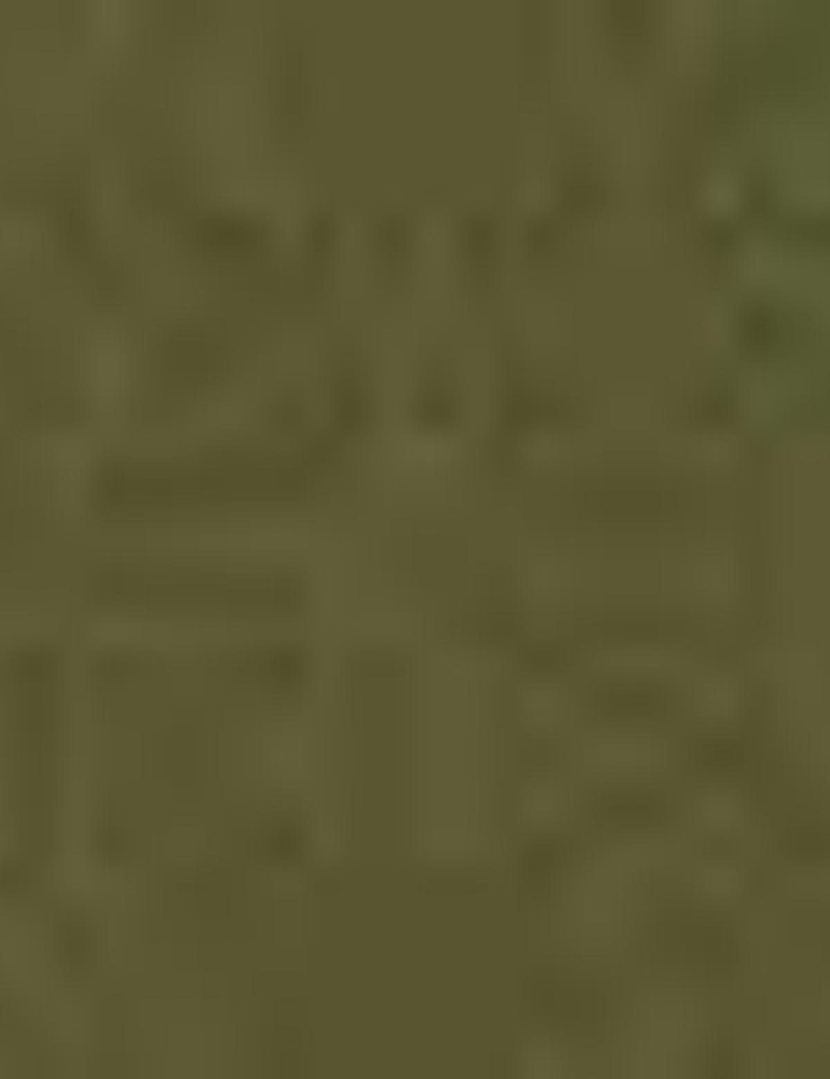 Yeşil Slim Fit Polo Yaka T-Shirt - 50187370006