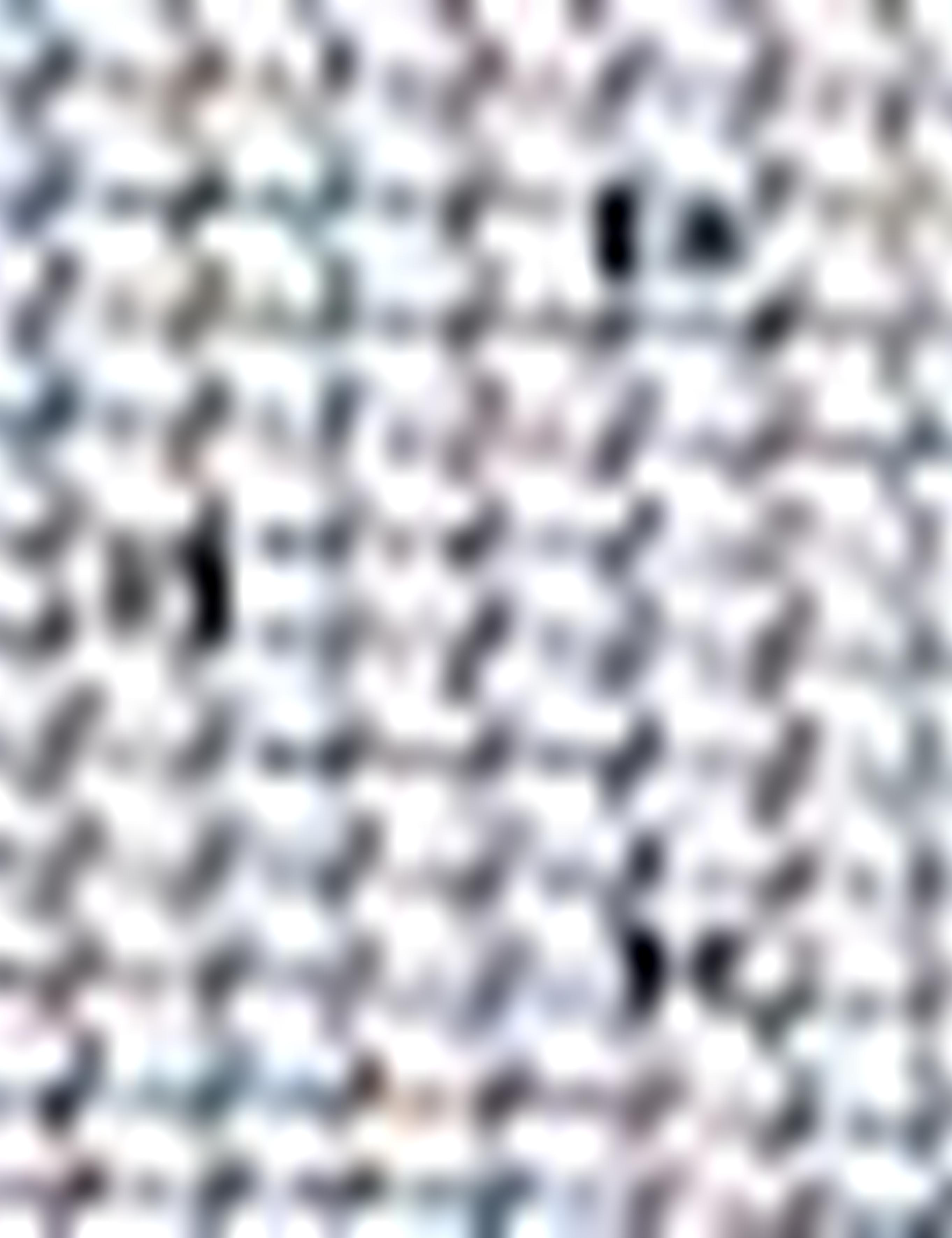 Lacivert Regular Fit Kısakol Gömlek